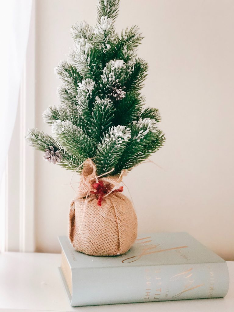 Small Xmas Tree 